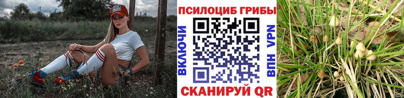 где купить наркоту  Новокубанск  Галлюциногенные грибы ЛСД 
