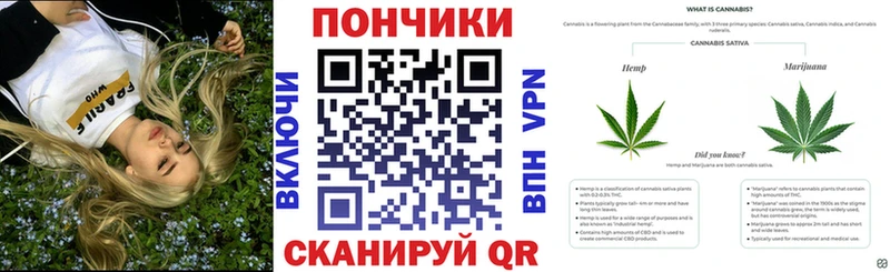 это телеграм  магазин продажи наркотиков  Новокубанск  Канабис планчик 